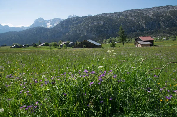 Solaison Mont Saxonex Haute Savoie Frankrijk — Stockfoto