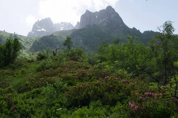 Massif Mont Blanc Posettes Chamonix Haute Savoie France — Foto Stock