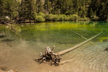 lake vert,nevache,hautes alpes,france