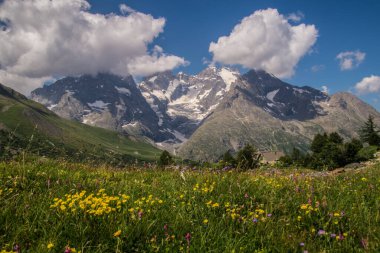 pass of lautaret,hautes alpes,france