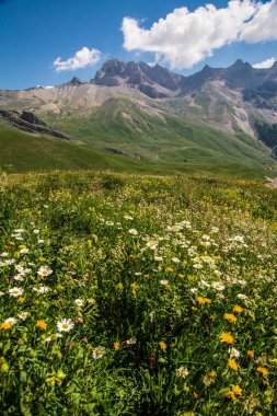 pass of lautaret,hautes alpes,france