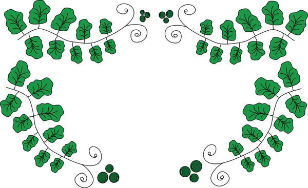 Umfang aus grünen Blättern mit Krausens — Stockvektor