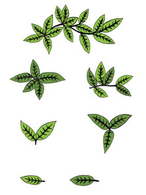 İzole yeşil set bırakır