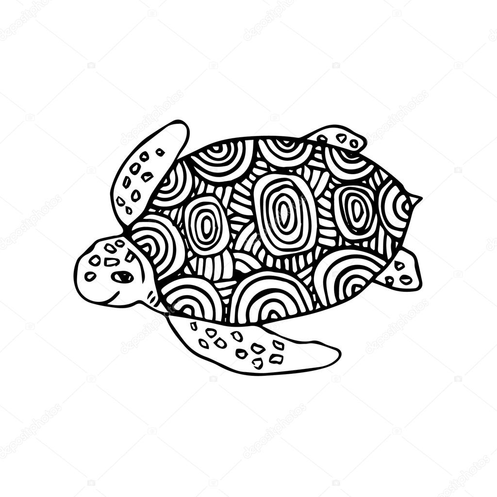 Fotografie Tartaruga Bianco E Nero Tartaruga Di Mare In