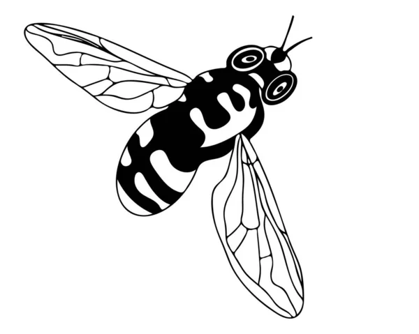 Линейная Пчела Изолирована Белом Фоне Пчела Печати Раскраски Книги Страницы — стоковый вектор