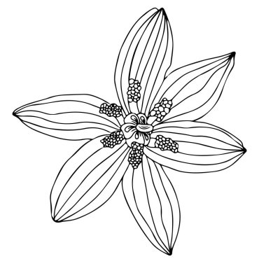 Boyama kitabı ya da sayfa için çiçek siyah çizgisi. Çiçek renklendirmesi.