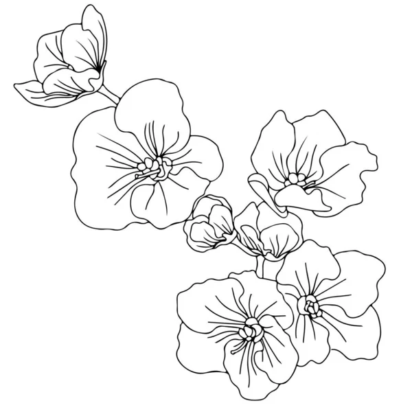 Γραμμή Λουλούδι Απομονώνονται Στο Λευκό Φόντο Όμορφο Λουλούδι Για Χρωματισμό — Διανυσματικό Αρχείο