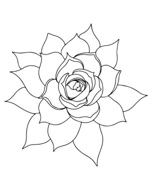 Beyaz arka planda izole çizgi çiçeği. Boyama kitabı ya da sayfa için güzel bir çiçek. Vektör çiçek..