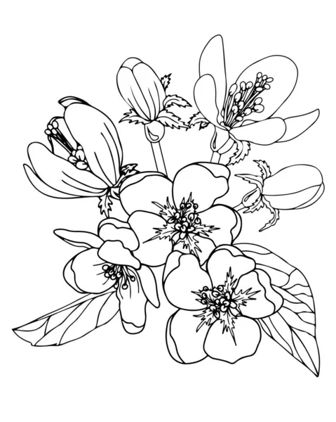 Γραμμή Λουλούδι Απομονώνονται Στο Λευκό Φόντο Όμορφο Λουλούδι Για Χρωματισμό — Διανυσματικό Αρχείο
