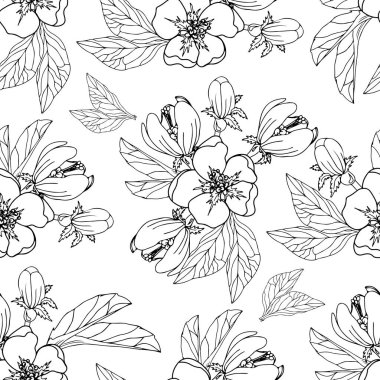 Beyaz arka planda çiçek olan kusursuz bir desen. Çiçeksiz arka plan. Vektör çiçeği pürüzsüz.