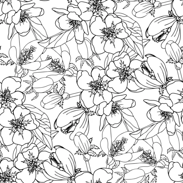 Motif Vectoriel Sans Couture Avec Fleur Sur Fond Blanc Fleur — Image vectorielle