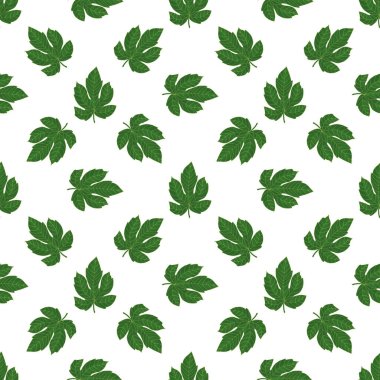 Tekstil, ambalaj, duvar kâğıdı ya da diğer tasarımlar için egzotik yaprak desensiz taşıyıcı. Botanik kusursuz desen.