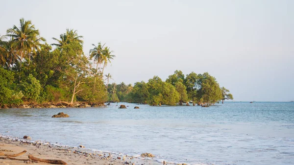 Peucang Adası, özellikle yüzmek için Java 'nın en güzel plajlarına sahiptir. Kum beyaz ve pürüzsüz.