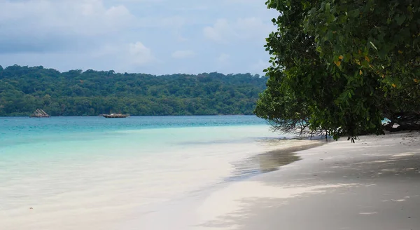 Endonezya 'nın Peucang Adası' ndaki mavi su ve beyaz kumsalın güzelliği. Turkuaz dalgalar ve eğimli kıyı ağaçlarıyla huzurlu bir sahil cenneti.