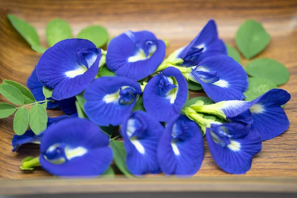 Kelebek bezelye çiçeği (Klitoria ternatea) ve yeşil yaprakları doğal kahverengi ahşap tepside güzelce sıralanmıştır. Bezelye Çiçekleri veya Bunga Telang bitkisel çay, doğal gıda boyası ve geleneksel tıpta kullanır.