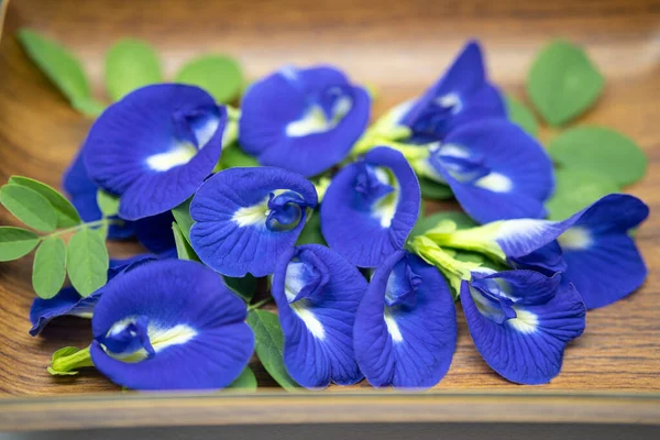 Kelebek bezelye çiçeği (Klitoria ternatea) ve yeşil yaprakları doğal kahverengi ahşap tepside güzelce sıralanmıştır. Bezelye Çiçekleri veya Bunga Telang bitkisel çay, doğal gıda boyası ve geleneksel tıpta kullanır.