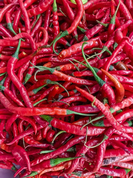 Büyük bir yığın uzun, ince, kıvrımlı yeşil saplı kırmızı biber. Resim, Endonezya / Asya mutfağını veya sıcak yemeklerde kullanılan organik ürünleri temsil etmek için ideal yoğun kırmızı renk ve yoğun dokuyu vurgular.