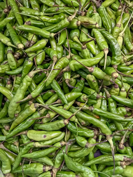 Taze, canlı yeşil biberler çerçeveyi dolduruyor. Resim, baharat, yemek, Asya mutfağı ve vejetaryen ve sağlıklı pişirmede kullanılan organik ürünleri temsil etmek için ideal renk, doku ve sıcaklığı vurguluyor.