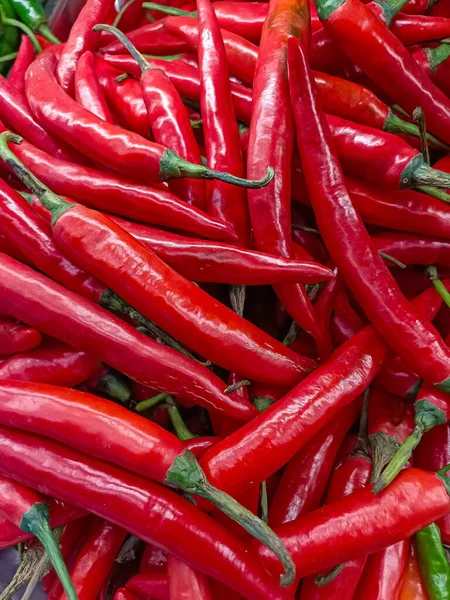 Çerçeveyi dolduran taze ve canlı kırmızı biber (uzun arnavut biberi veya parmak biberi). Resim, baharat, baharat, yemek, Asya mutfağı ve organik ürünleri temsil etmek için ideal olan zengin rengi, parlak dokuyu ve sıcaklığı vurguluyor.