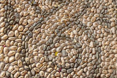 Yerleştirilmiş mozaik çakıl taşlarının arka plan dokusu. Taş duvarın dokusu, küçük yuvarlak ve oval taşların yolu soyut çizgileriyle eski sarı kahverengi kumlu dikişler çiziyordu.