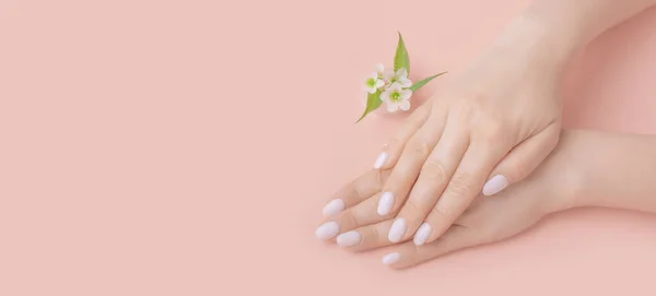 Close Beautiful Female Hands Flowers Pink Background Concept Hand Care — Stock Photo, Image