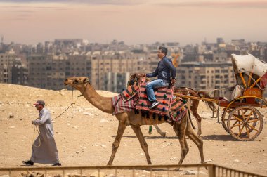 CAIRO, EGYPT - 18 Mayıs 2021: Bedevi deve sürücüsü, Giza platosunda Çin 'den gelen Asyalı bir turiste biniyor. Asyalı turist Mısır 'a seyahat ediyor. Çölde yürüyen develer.