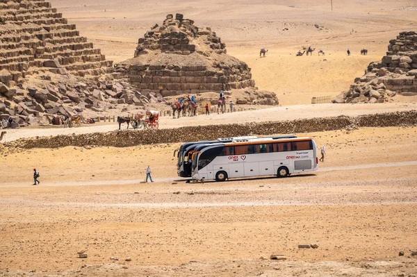 Cairo Egypt May 2021 旅游运营商Aπtour的观光巴士 将游客带到吉萨金字塔 在埃及的旅游和旅行 恢复国际旅行 — 图库照片