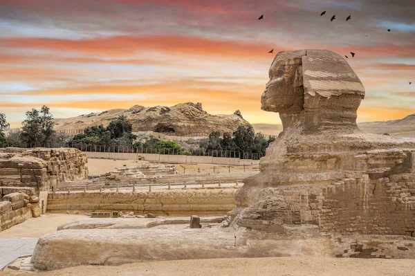 Egipski Sfinks Kairze Gizie Egipt Podróże Pomnik Architektury Grobowce Faraonów — Zdjęcie stockowe
