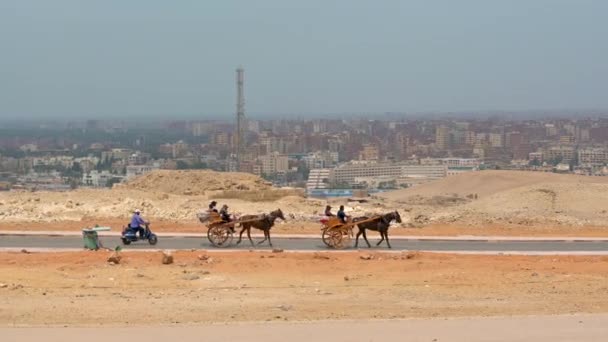 Paardenkarren Rijden Langs Weg Woestijn Tegen Achtergrond Van Arabische Stad — Stockvideo