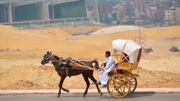 Jízda Koni Taženém Vozíku Silnici Poušti Pozadí Arabského Města — Stock video