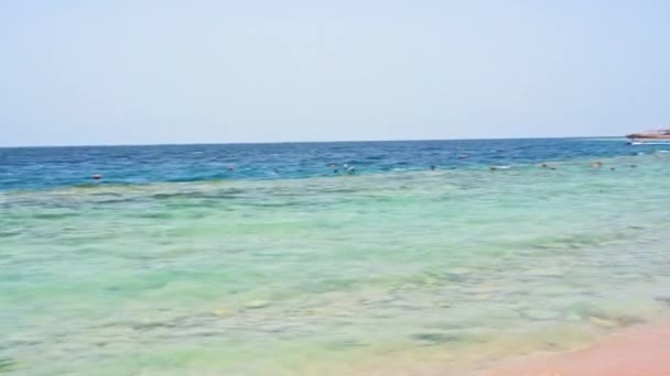 Panorama Dari Perairan Pantai Laut Merah Perbatasan Karang Dan Air — Stok Video