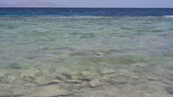 Ακτογραμμή Κοραλλιογενείς Υφάλους Και Κύματα Καλοκαίρι Και Ταξιδιωτικές Διακοπές Έννοια — Αρχείο Βίντεο