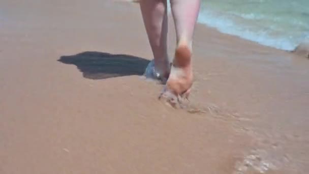 Γυναικεία Πόδια Περπατούν Κατά Μήκος Της Παραλίας — Αρχείο Βίντεο