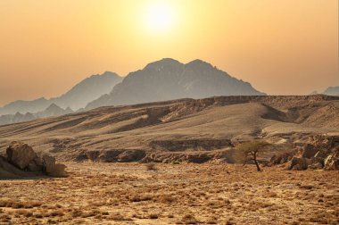 Sina Dağları. Sina Yarımadası 'nın güney ucundaki Sharm el Sheikh dağları. Dağlı çöl. Sina, Mısır. Panorama Kum Çölü Sina Çölü, Mısır