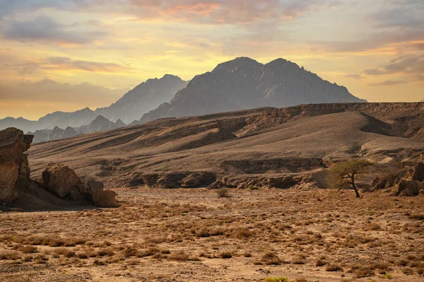 Montañas Del Sinaí Montañas Sharm Sheikh Extremo Sur Península Del — Foto de Stock