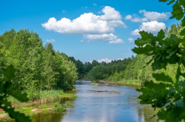 Peyzaj ormanı nehir yazı. Yeşil Doğa Manzarası. Orman nehri ve mavi gökyüzünde bulutlar olan yaz manzarası. Kırsal alan