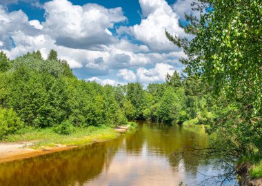 Peyzaj ormanı nehir yazı. Yeşil Doğa Manzarası. Orman nehri ve mavi gökyüzünde bulutlar olan yaz manzarası. Sakin nehir ormanlık arazide yavaşça akıyor.