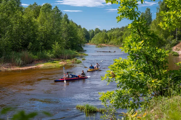 canoeing on forest river. Friends driving with kayak on forest river. active pastime and entertainment in summer. Several people team inflatable canoes rafting in calm waters with nice surrounding