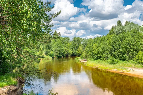 Sakin nehir ormanlık arazide yavaşça akıyor. Nehir kıyısındaki orman, yazları göl ya da nehir manzarası. Doğa fotoğrafçılığı