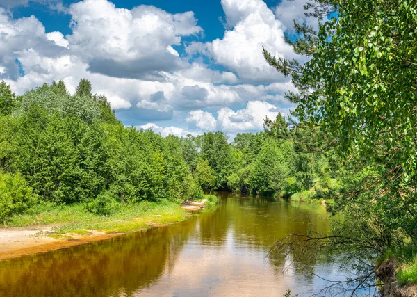 Peyzaj ormanı nehir yazı. Yeşil Doğa Manzarası. Orman nehri ve mavi gökyüzünde bulutlar olan yaz manzarası. Sakin nehir ormanlık arazide yavaşça akıyor.