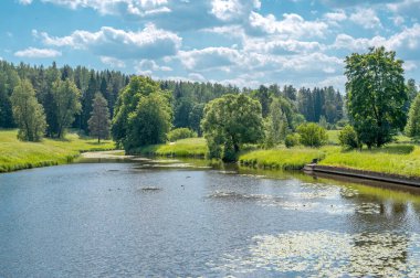 Yaz yeşili kırsal doğa manzarası. Yeşil doğa manzarası. Güzel rengarenk bir yaz baharı. Nehirli doğal manzara. Yaz yeşili doğa manzarası.