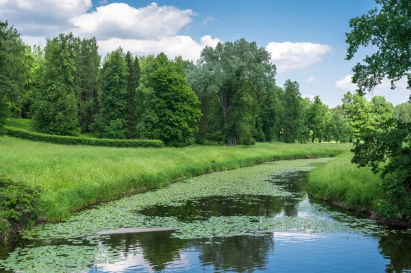 Beautiful natural landscape in the summer time. Summer green countryside nature landscape. Green nature landscape. Beautiful colorful summer spring natural landscape with river in Park