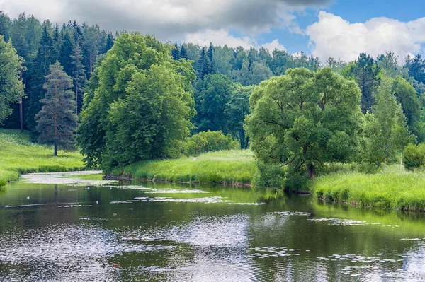 Güzel, renkli bir yaz baharı. Park 'ta göl ya da nehir manzarası. Güneş ışığı altında ağaçların yeşil yaprakları ve ön plandaki patikalarla çevrili..