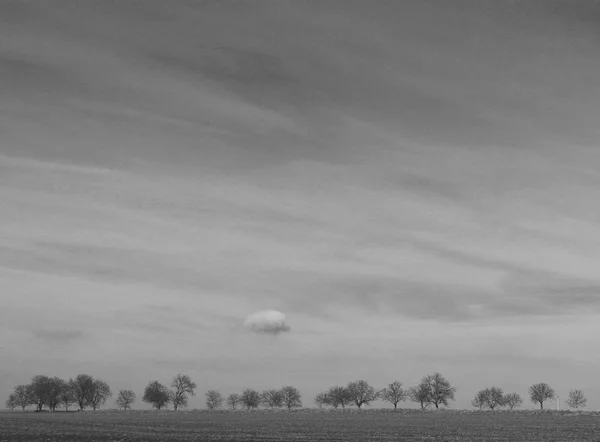 Bulut ve ağaçlar ile manzara — Stok fotoğraf