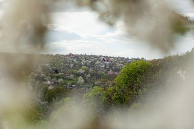 Beyaz Kiraz Çiçeği Yaz Gökyüzü