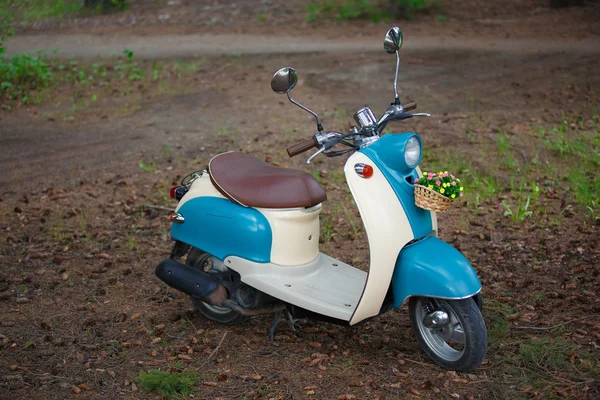 çimenlerin üzerinde turkuaz scooter