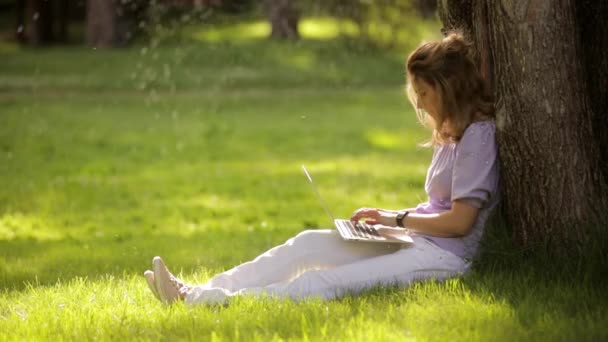 Joven hermosa mujer trabajando en portátil sentado en la hierba en el parque — Vídeo de stock