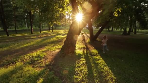 Twee kleine meisjes lopen in het Park bij zonsondergang — Stockvideo