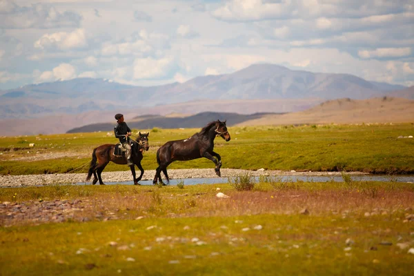 Çocuk bir çayırda atlı