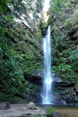 Ahuashiyacu Şelalesi, San Antonio de Cumbaza Bölgesi, San Mart n Eyaleti - Peru
